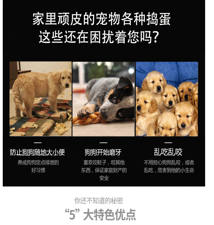 生产宠物笼厂家 生产宠物笼厂家
