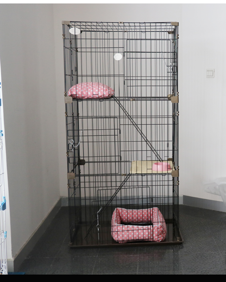 猫笼价格 猫笼价格