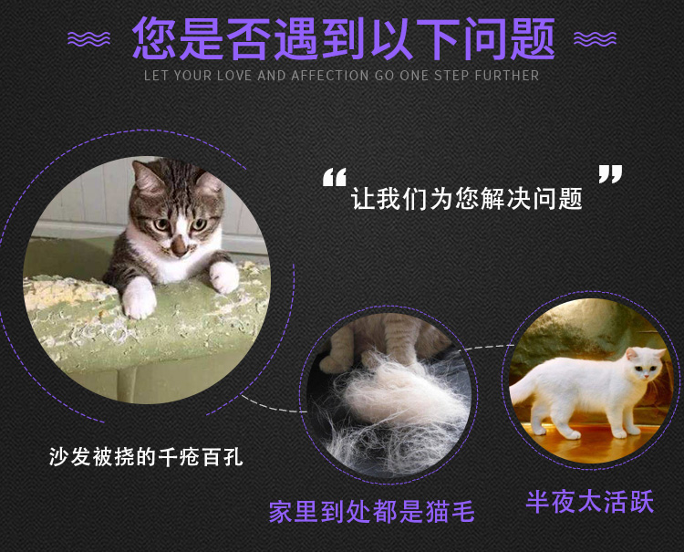 猫笼子批发